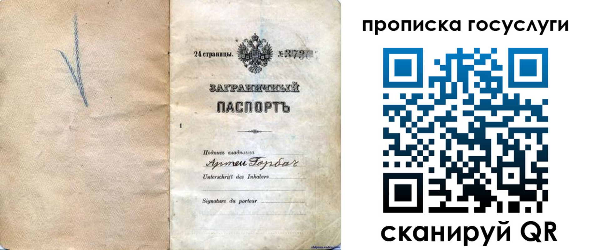 прописка законно в Ростовской области